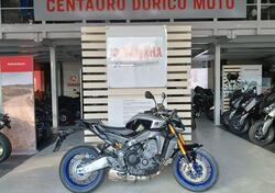 Yamaha MT-09 SP (2024 - 25) nuova