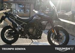 Triumph Tiger 900 GT Pro (2020 - 23) usata