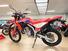 Honda CRF 300 L (2021 - 24) (10)