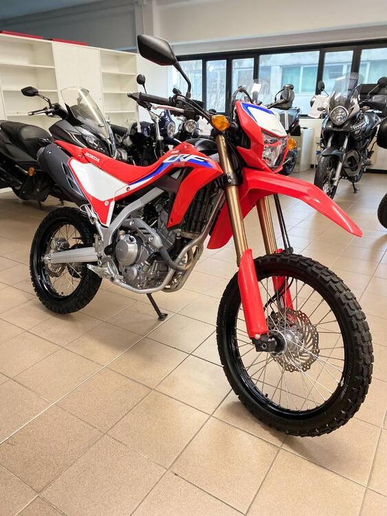 Honda CRF 300 L (2021 - 24) (5)