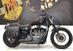 Harley-Davidson 1200 Nightster (2008 - 12) - XL 1200N (8)