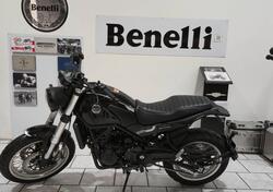 Benelli Leoncino 500 Trail (2021 - 25) usata