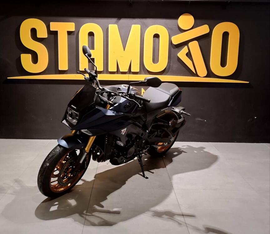 Suzuki Katana 1000 (2022 - 25) (2)