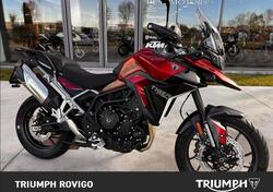 Triumph Tiger 900 GT Pro (2024 - 25) nuova