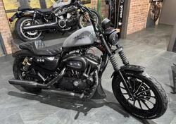 Harley-Davidson 883 Iron (2012 - 14) - XL 883N usata