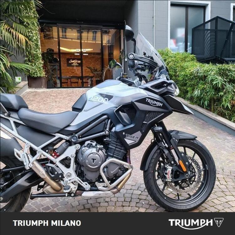 Triumph Tiger 1200 GT Pro (2022 - 23) (3)