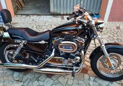 Harley-Davidson 1200 Custom ABS (2014 - 16) - XL 1200C usata