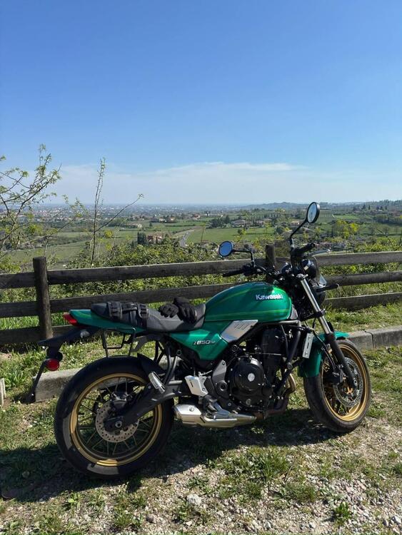 Kawasaki Z 650 RS (2022 - 24) (2)