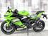 Kawasaki Ninja ZX-4RR (2024 - 25) (7)