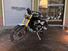 Triumph Scrambler 1200 XE (2024 - 25) (6)