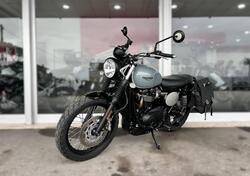 Triumph Street Scrambler 900 (2021 - 22) usata