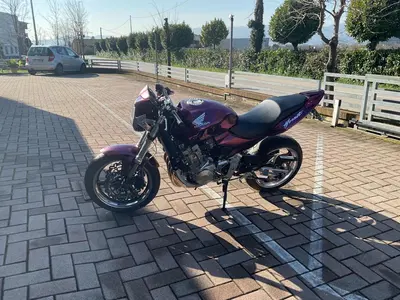 Honda Hornet 600 (2005 - 06) usata