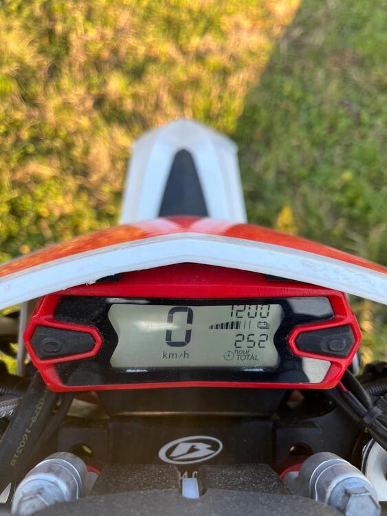 Betamotor RR 390 4T Enduro (2019) (4)