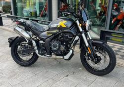 Voge Trofeo 525ACX Scrambler (2023 - 25) nuova