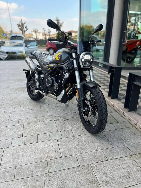 Voge Trofeo 525ACX Scrambler (2023 - 25) (2)