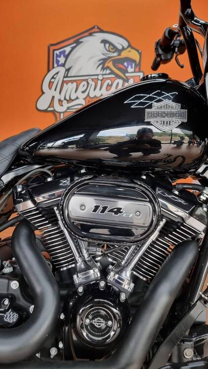 Harley-Davidson Road Glide Special (2021 - 23) (2)