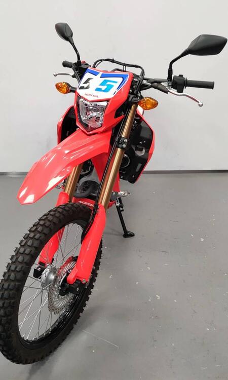 Honda CRF 300 L (2021 - 24) (2)