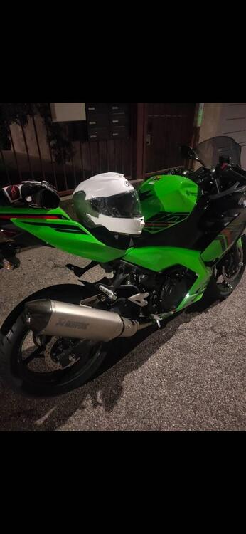 Kawasaki Ninja 400 Performance (2023) (3)