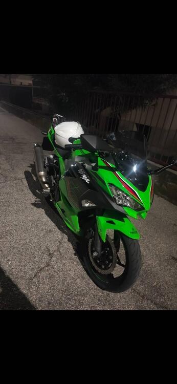 Kawasaki Ninja 400 Performance (2023) (5)