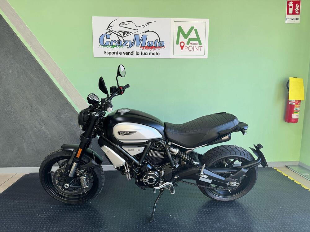 Ducati Scrambler 1100 Dark Pro (2020 - 24)