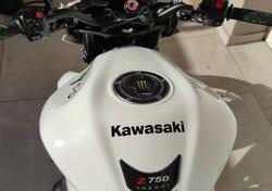 Kawasaki Z 750 (2007 - 14) usata