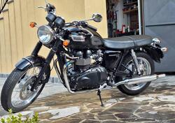 Triumph Bonneville T100 (2008 - 16) usata