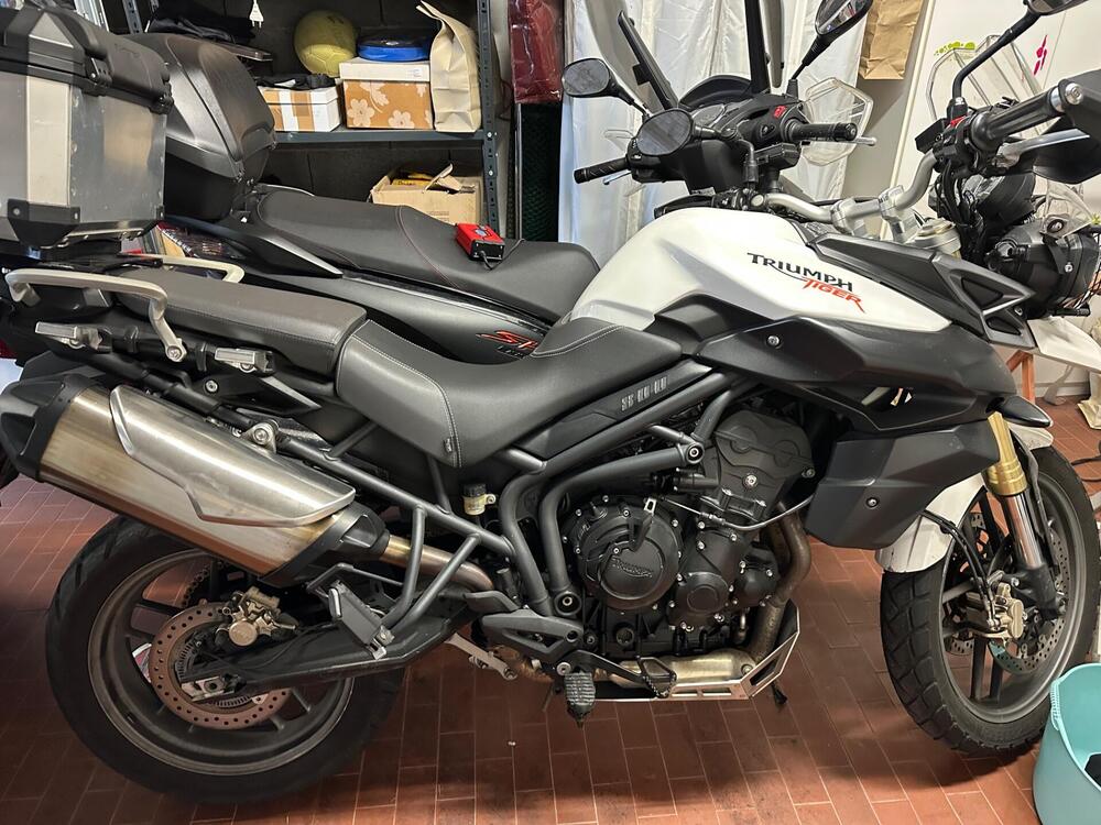 Triumph Tiger 800 ABS (2010 - 14) (2)