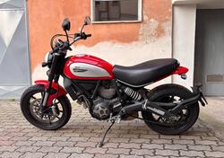 Ducati Scrambler 800 Icon (2017 - 20) usata