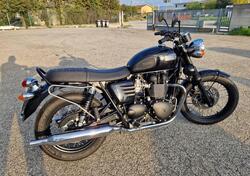 Triumph Bonneville T100 (2008 - 16) usata