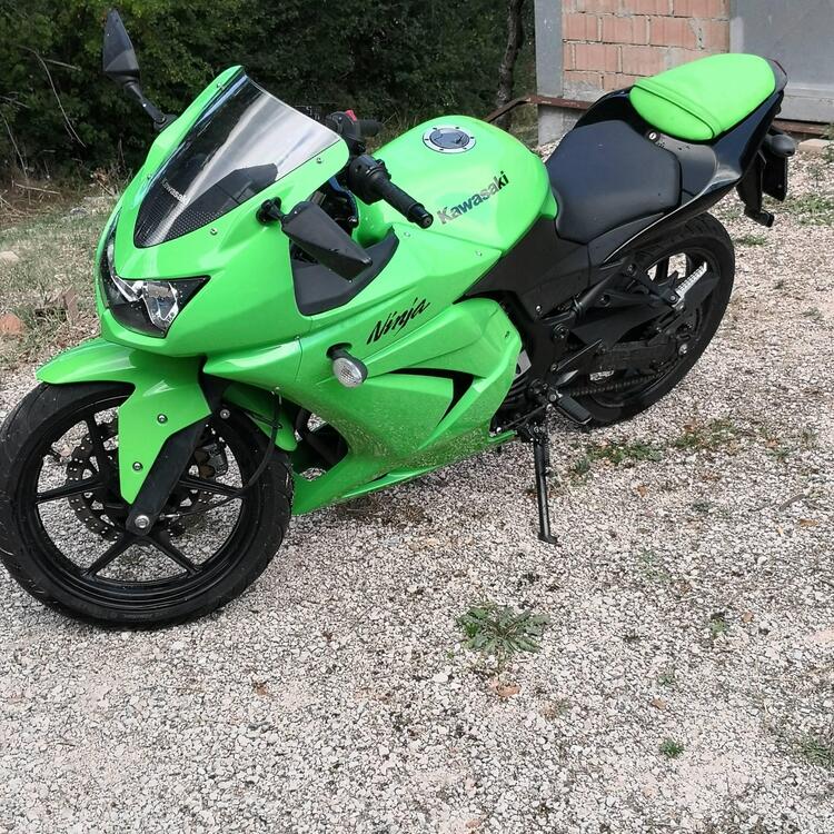 Kawasaki Ninja 250 R (2007 - 13)