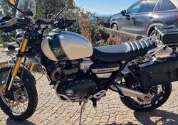 Triumph Scrambler 1200 XE (2019 - 20) usata