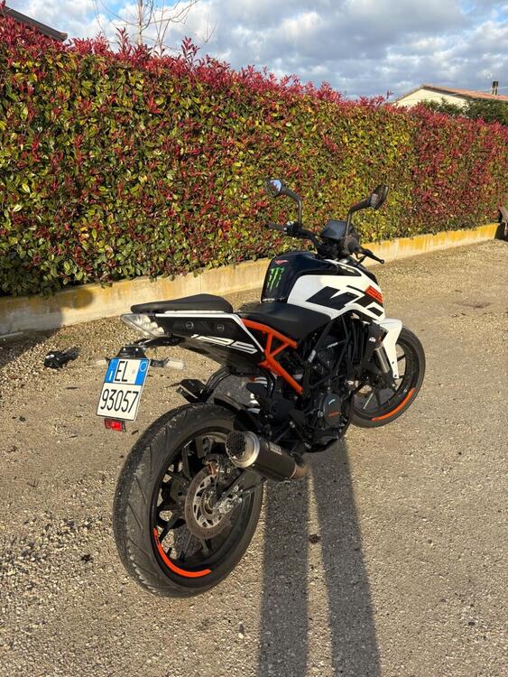 KTM 125 Duke ABS (2017 - 20) (2)