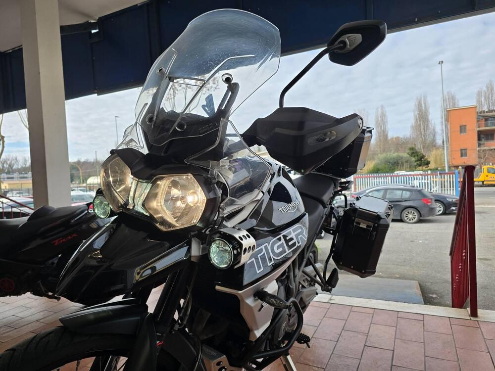 Triumph Tiger 800 XCx (2018 - 20) (2)