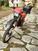 Honda XLR 350 (8)