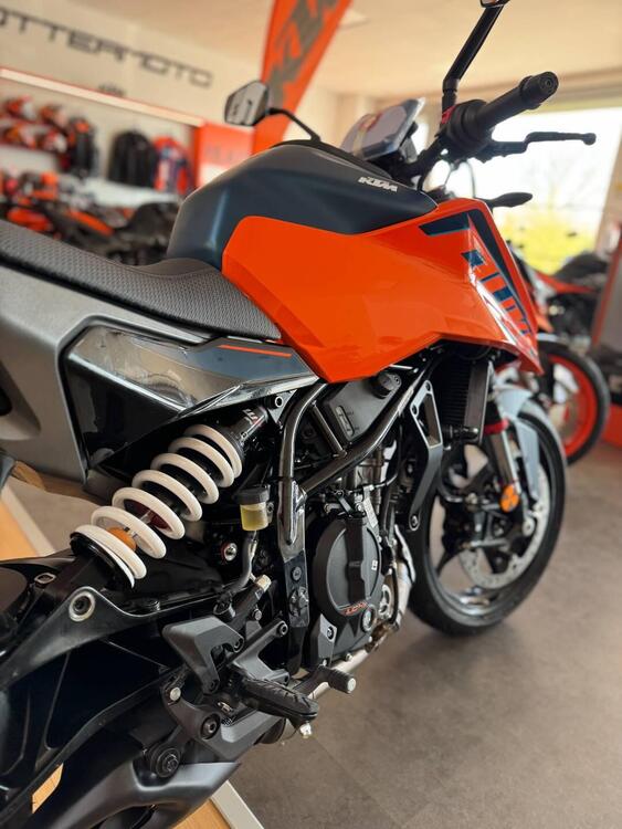 KTM 125 Duke (2024 - 25) (2)