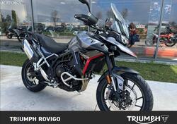 Triumph Tiger 900 GT Pro (2024 - 25) usata