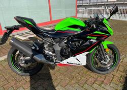 Kawasaki Ninja 125 (2021 - 25) usata