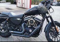 Harley-Davidson 883 Iron (2012 - 14) - XL 883N usata