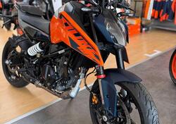 KTM 125 Duke (2024 - 25) nuova