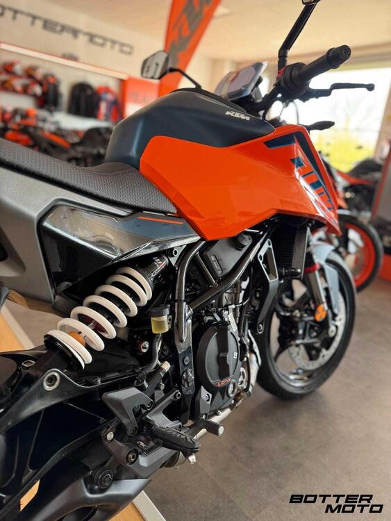 KTM 125 Duke (2024 - 25) (2)