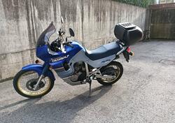 Honda Transalp XL 600V (1991 - 93) usata