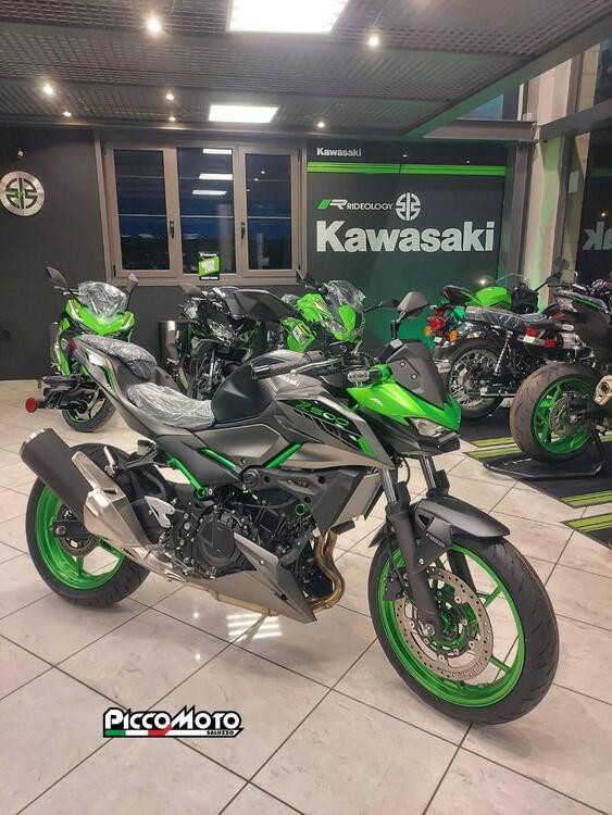 Kawasaki Z 500 SE (2024 - 25)