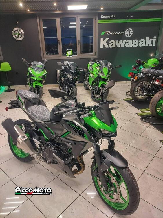 Kawasaki Z 500 SE (2024 - 25) (2)