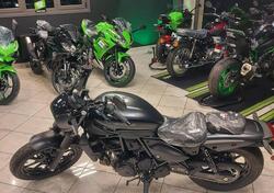 Kawasaki Eliminator 500 SE (2024 - 25) nuova