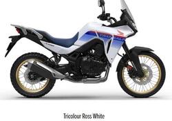 Honda Transalp XL750 (2023 - 24) nuova