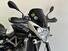 Aprilia Shiver 750 (2010 - 16) (12)