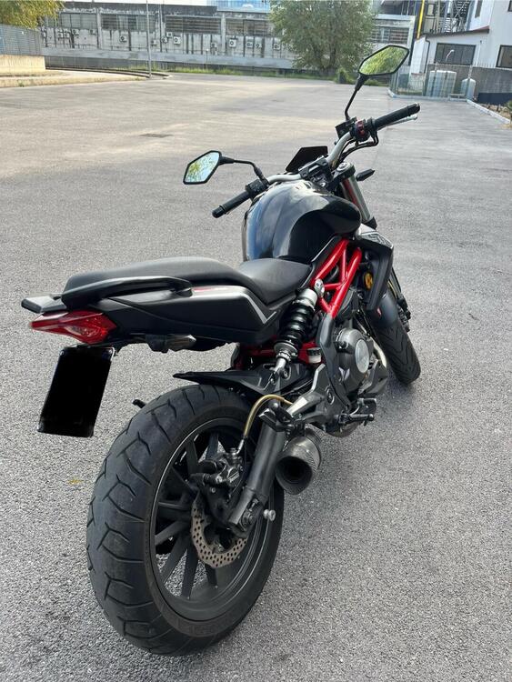 Benelli BN 302 (2017 - 19) (2)