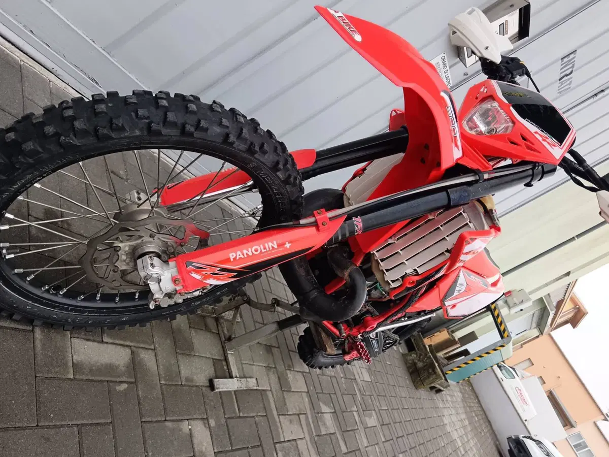 Betamotor RR 300 2T Enduro (2016) (15)