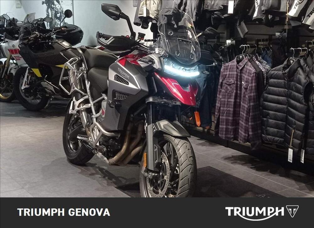 Triumph Tiger 1200 GT Explorer (2024 - 25) (3)