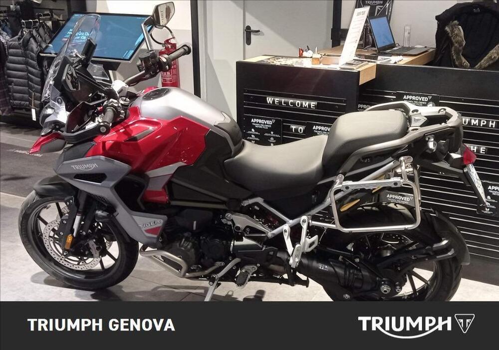 Triumph Tiger 1200 GT Explorer (2024 - 25) (4)